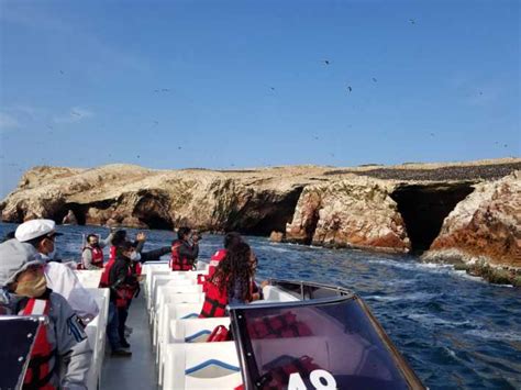 Ica Ballestas Island And Paracas Reserve Private Tour Getyourguide