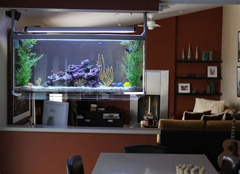 Aquarium Effects Aquarium Design And Installation Services In Toronto