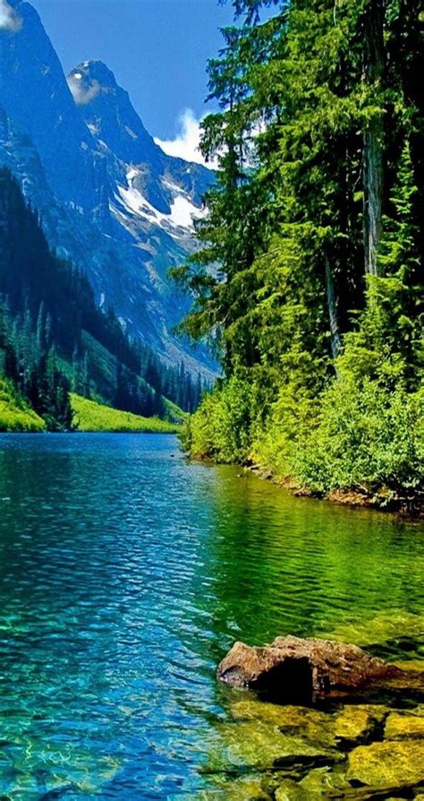 🔥 Download Nature Green Water Hd Wallpaper Smart By Cstephens2 Hd