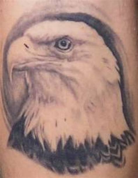 Bald Eagle Tattoos And Meanings Bald Eagle Tattoo Designs
