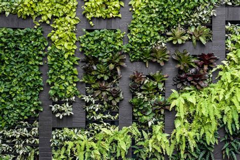 How To Make Living Wall Vertical Garden Storables