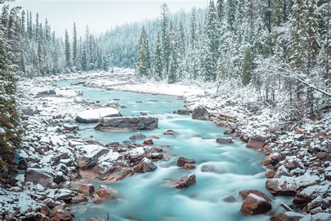 Winter Scenes From Yoho National Park Canada Stock Photo Download