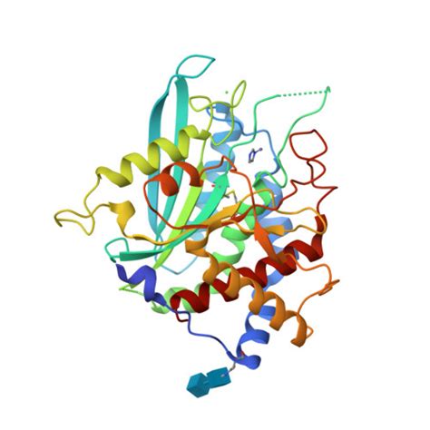 Rcsb Pdb 3si0 Structure Of Glycosylated Human Glutaminyl Cyclase