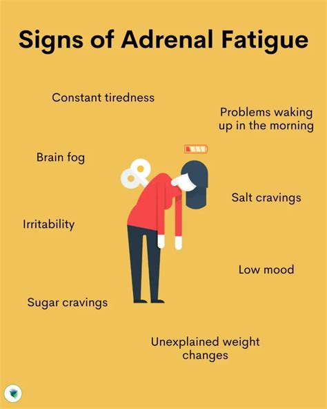 Adrenal Fatigue And Burnout Karma Care