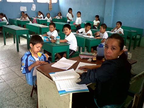 Maestra the following description was taken from this source.maestra is a three dimensional model of forest canopy radiation absorption, photosynthesis, and transpiration. Escuela Oficial Urbana Mixta "Emilio Arenales C.": Maestra ...