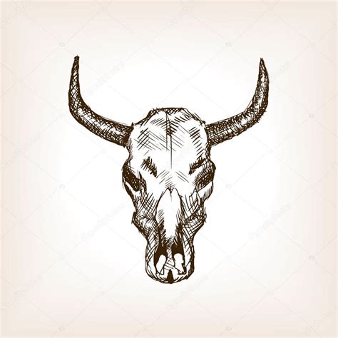 Western cactus png with rustic cow skull, southern waterslide, cactus and sunflowers & succulent clipart. Longhorn Skull Drawing at GetDrawings | Free download