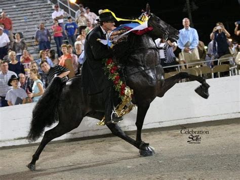 I would highly recommend regions to anyone. Regions Bank out as walking horse celebration sponsor