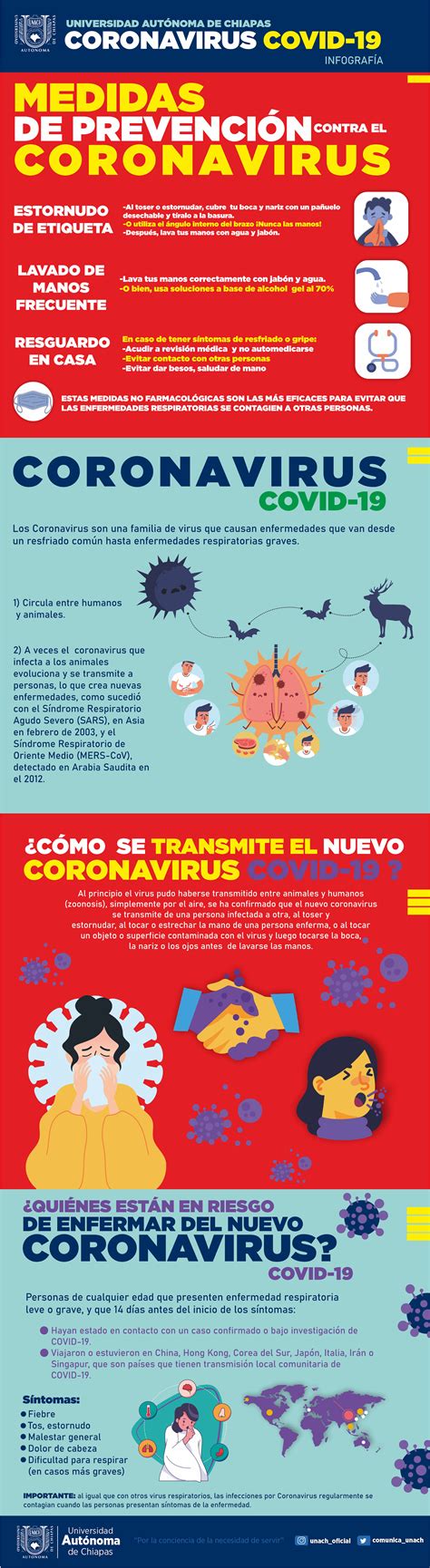Infografía Coronavirus COVID 19