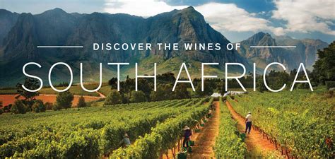 Discover The Wines Of South Africa