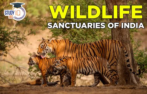 Wildlife Sanctuaries Of India Map List Importance Names
