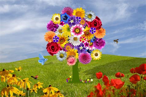 Colours To Choose For Your Flower Arrangement Flower Press