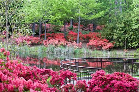 10 Best Gardens To Visit In Georgia Official Georgia Tourism And Travel