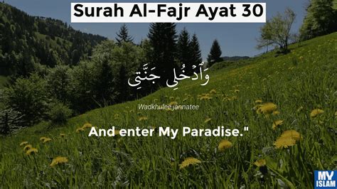 Surah Fajr Ayat Quran With Tafsir My Islam