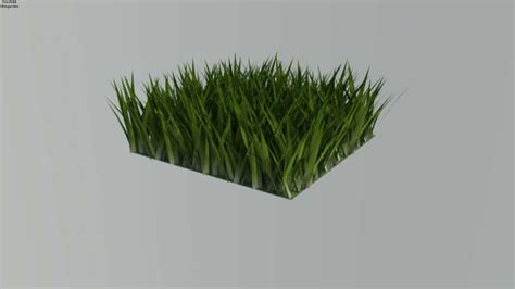 Grass 3d 3d Warehouse