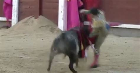 Horrifying Footage Shows Bullfighter Gored Through The Throat Face And