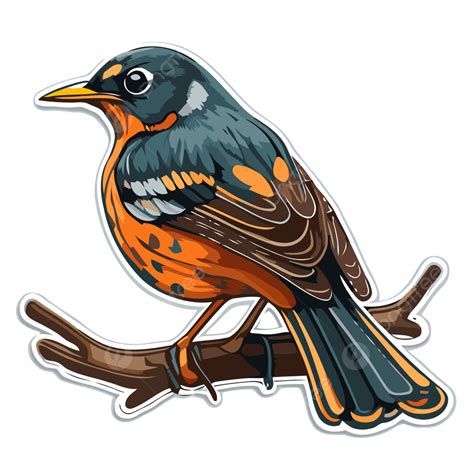 On The Branch Is A Sticker Of A Bird Clipart Vector American Robin