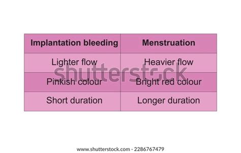 Differences Between Menstruation Implantation Bleeding Very Stock