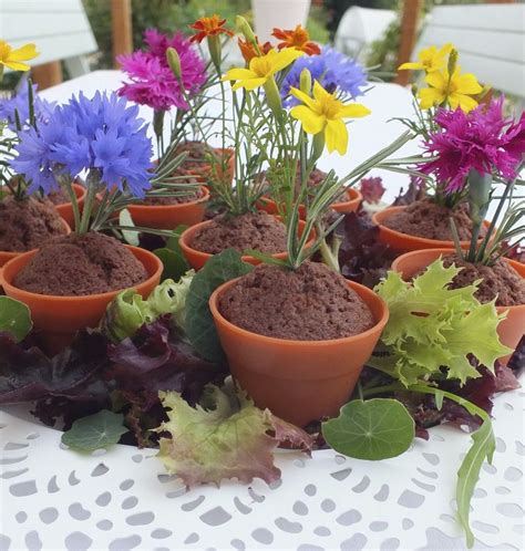 Water them only at the base of the plant to keep the foliage dry and prevent mildew spotting. 17 Best images about Edible Flower Canapés on Pinterest ...