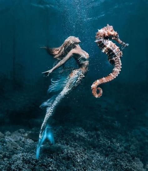 Omg wie schön | Meerjungfrau bilder, Unterwasser kunst und Fantasy