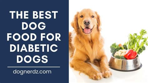 The Best Dog Food For Diabetic Dogs In 2023 Dog Nerdz