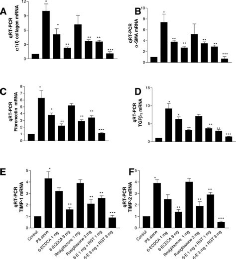 A F Liver Expression Of 1 I Collagen SMA Fibronectin TGF1 TIMP 1