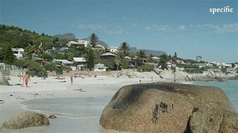 South Africa News Today City Of Cape Town Probing Clifton Beach