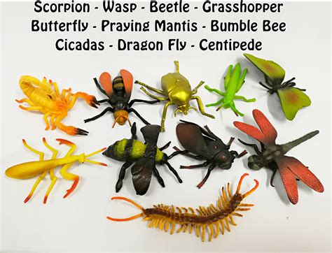 Bongbongidea Toy Insects 10 Pcs Extra Large Size