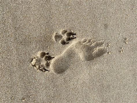 Bei problemen könne willi immer auf den herrn vertrauen und werde von. Spuren im Sand 1 Foto & Bild | outdoor, sand, natur Bilder auf fotocommunity