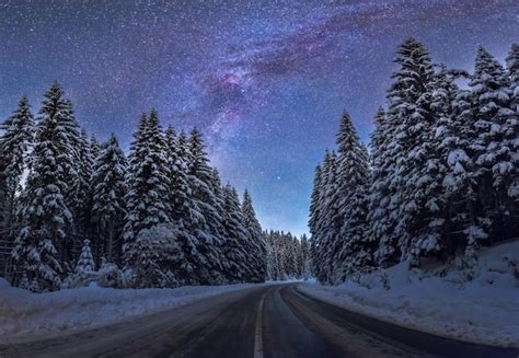 Premium Photo Winter Night At Pokljuka Forest In Slovenia