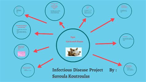 Cat Scratch Disease By Savoula Koutroulas