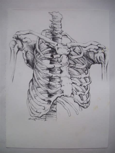 Check spelling or type a new query. Emily Banks' Art and Animation: Anatomy and Life Drawing