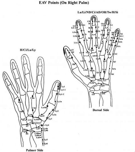 Right Hand Points As Per Eav Electro Acupuncture By Dr Voll