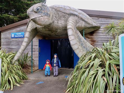 Weymouth Sea Life Centre Review