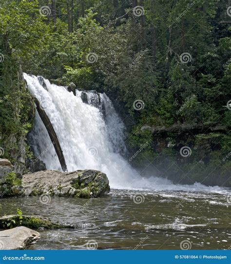 Abrams Falls Great Smoky Mountains National Park Stock Photo Image