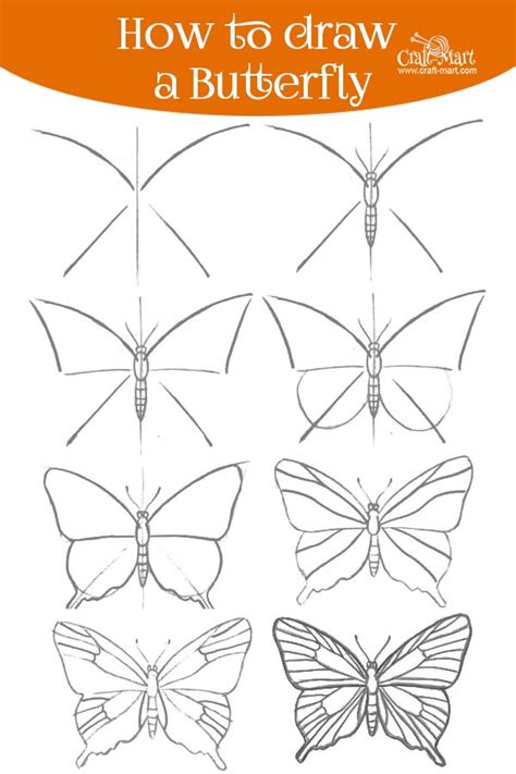 Simple Step By Step Beginner Butterfly Drawing Step By Step Butterfly