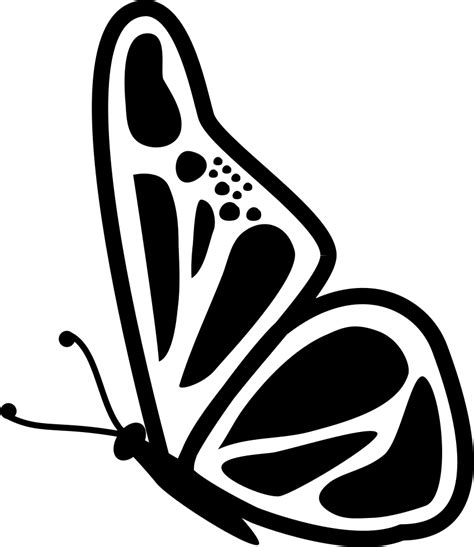Butterfly Side View Svg Png Icon Free Download (#74357