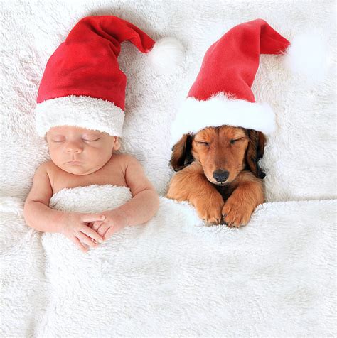 Here is the ultimate compilation of puppy for christmas surprise subscribe for more videos: Adorable Baby and Puppy Christmas Picture Ideas | POPSUGAR Moms