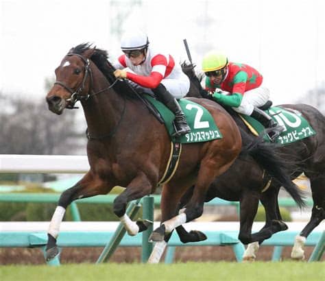 アクション・アドベンチャー / ロマンス / 刑事・探偵. 京王杯スプリングカップ 2020【道悪】雨の京王杯ならこの馬を ...