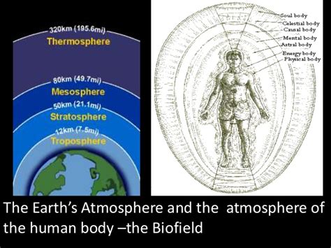 The biofield is a composition of various fields produced by ions, molecules, and cells which make a complex human system with immense electromagnetic capacities. The Chakra System: Thornton Streeter, Centre for Biofield ...