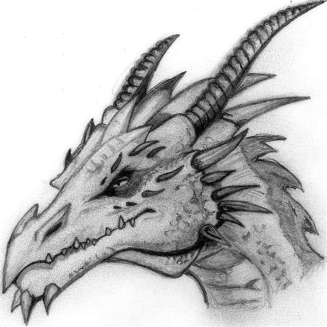 How To Draw A Dragon Head Step By Step For Beginners New Dragon Head Drawing Cool