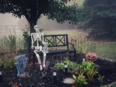 A Perfectly Spooky Garden Finegardening Arborvitae Tree Witchy