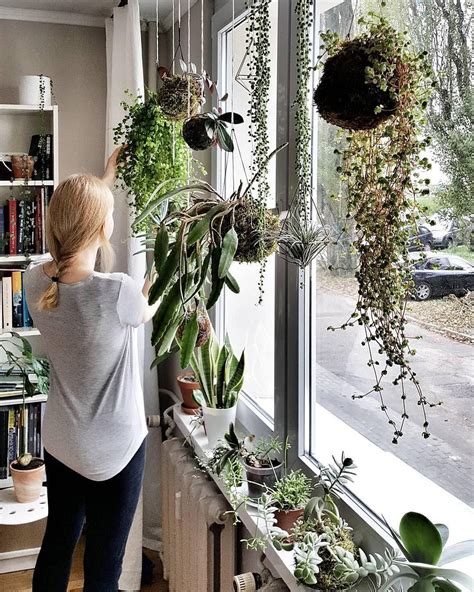 A Woman Standing In Front Of A Window Next To A Plant Filled Window Sill