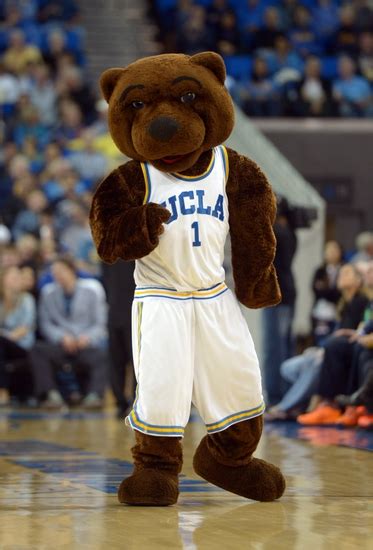 Sfoglia 419 ucla bruins mascot fotografie stock e immagini disponibili, o avvia una nuova ricerca per scoprire altre fotografie stock e immagini. Six Questions About UCLA Basketball With Go Joe Bruin