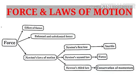 Force And Laws Of Motion 11 Youtube