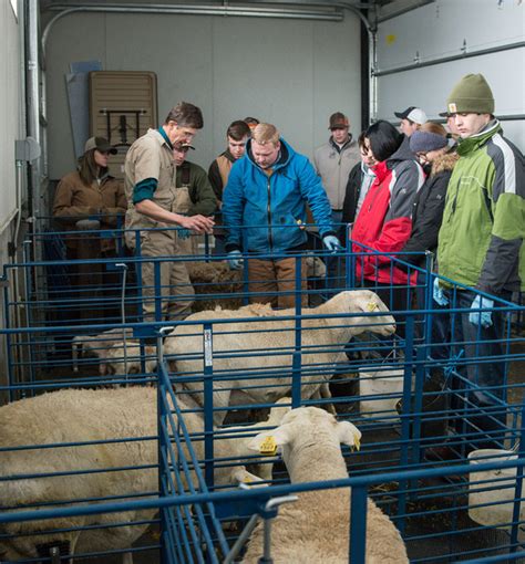 Byu Idaho Animals Labs