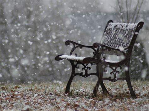 Snowy Bench Winter Snow Scenes Wallpaper 1600x1200