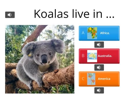 All About Koalas Quiz