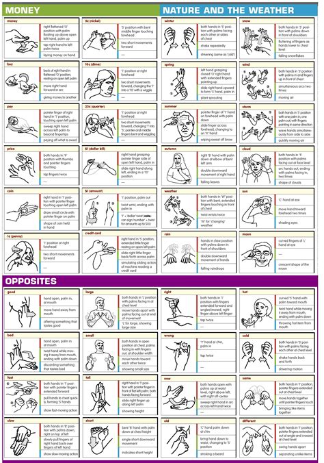 Basic Sign Language Chart Printable Pdf