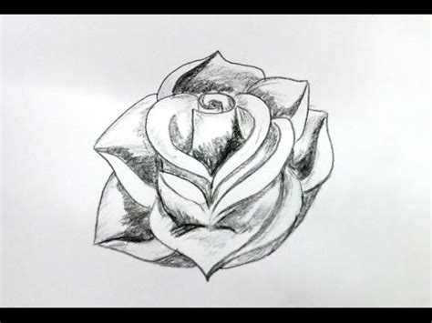 When this is done, thicken the lining on the top pf the flower. How To Draw A Rose Flower Step By Step (Very Easy Method ...