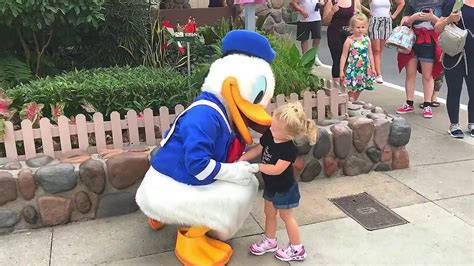Donald Duck Disney World Hollywood Studios Youtube